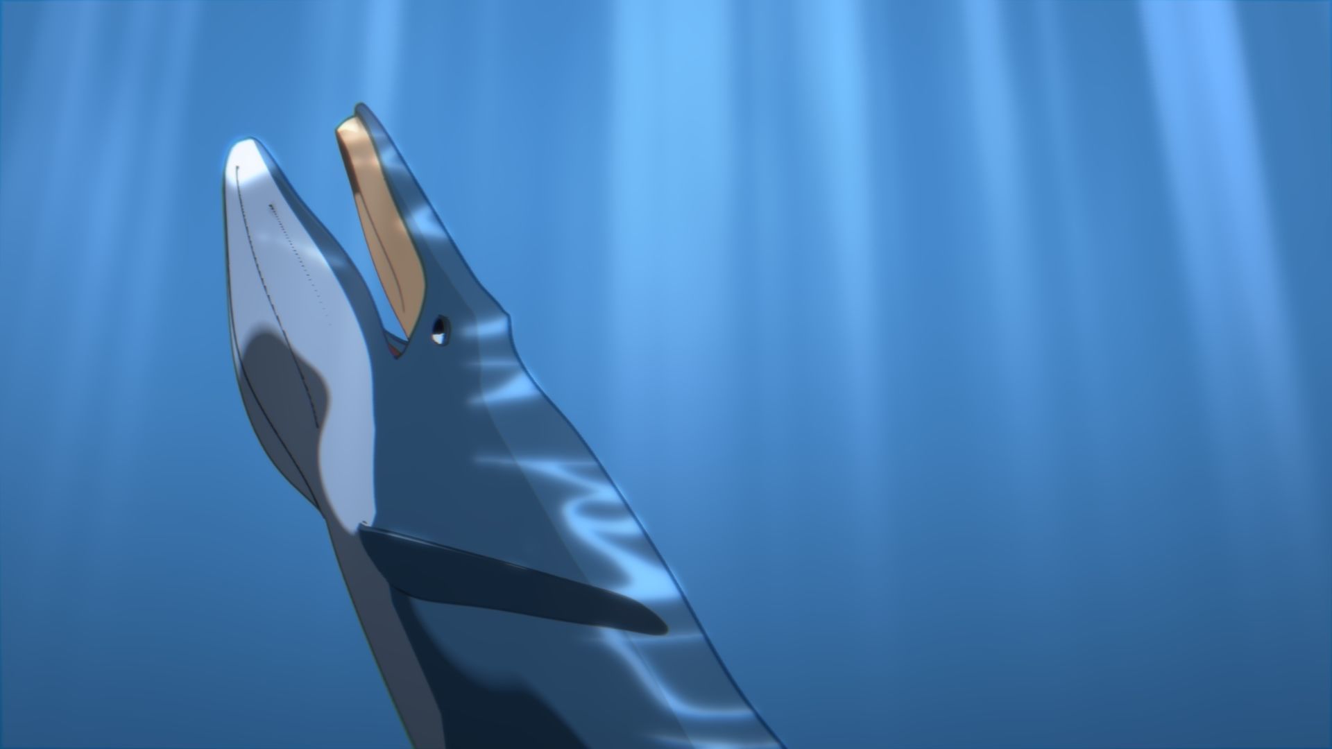 For Anime - Simple Blue Whale 3D model_21