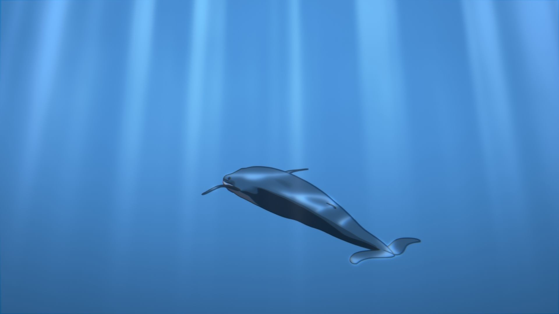For Anime - Simple Blue Whale 3D model_38