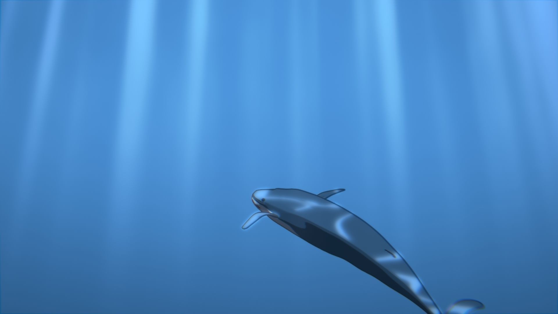 For Anime - Simple Blue Whale 3D model_37
