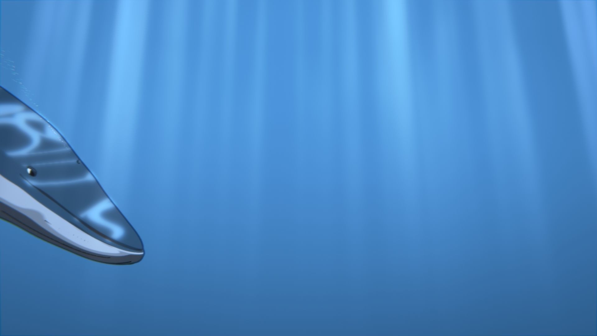 For Anime - Simple Blue Whale 3D model_27