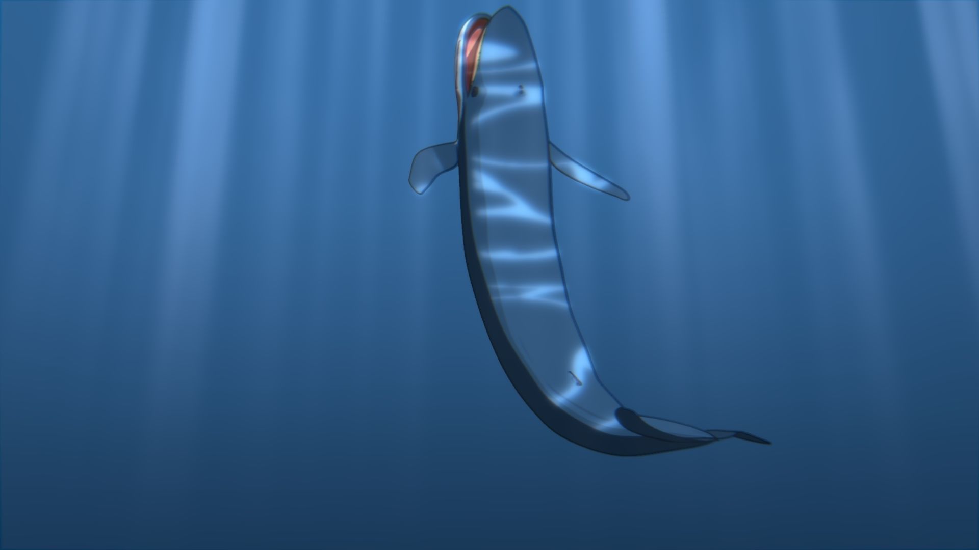 For Anime - Simple Blue Whale 3D model_13