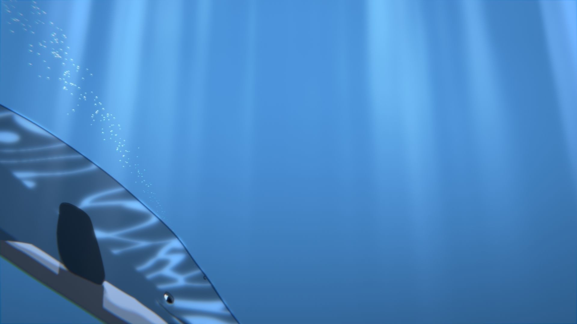 For Anime - Simple Blue Whale 3D model_29