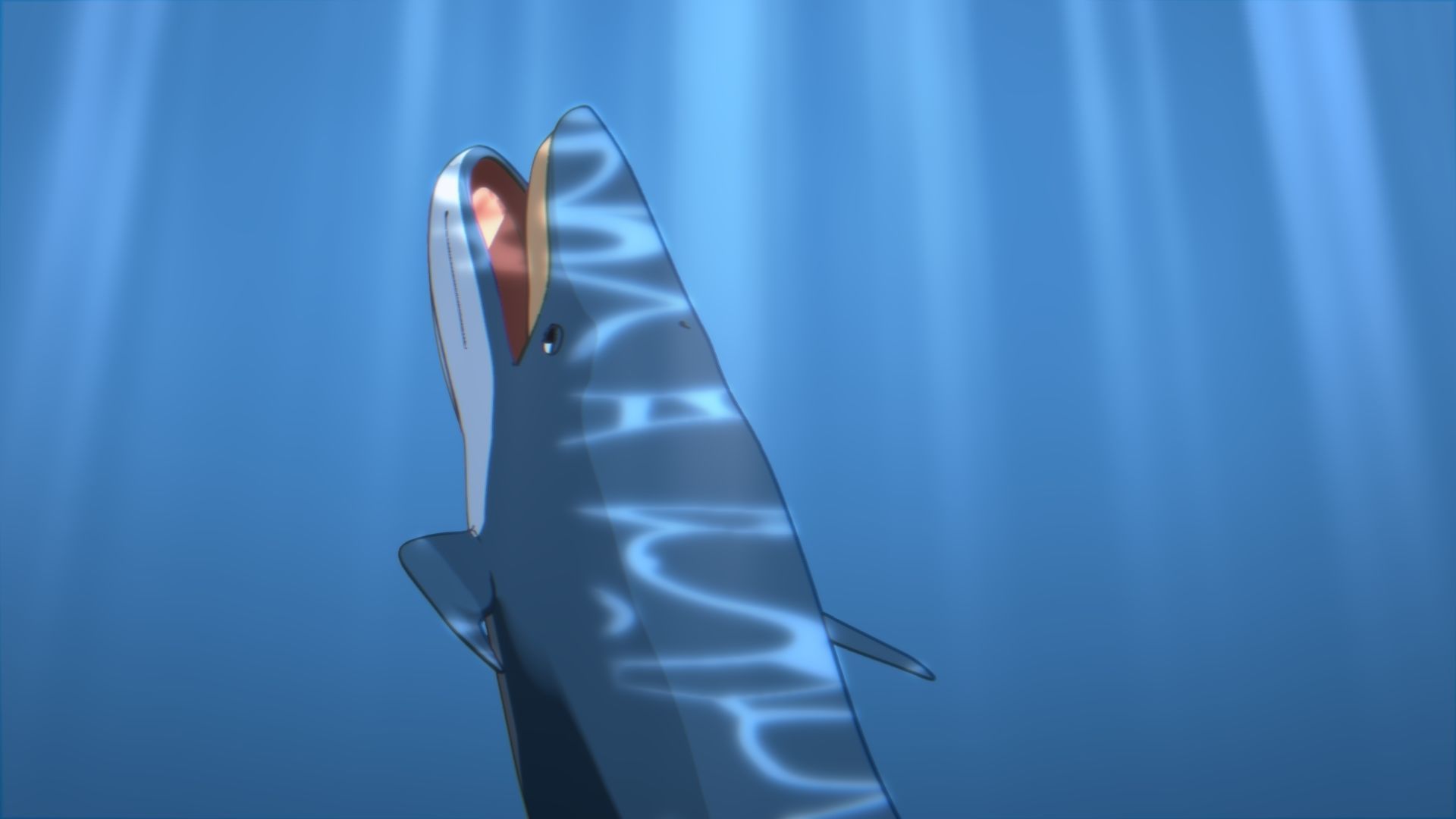 For Anime - Simple Blue Whale 3D model_22