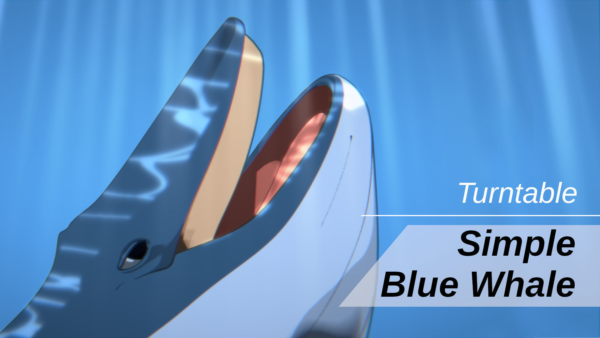 For Anime - Simple Blue Whale 3D model_3