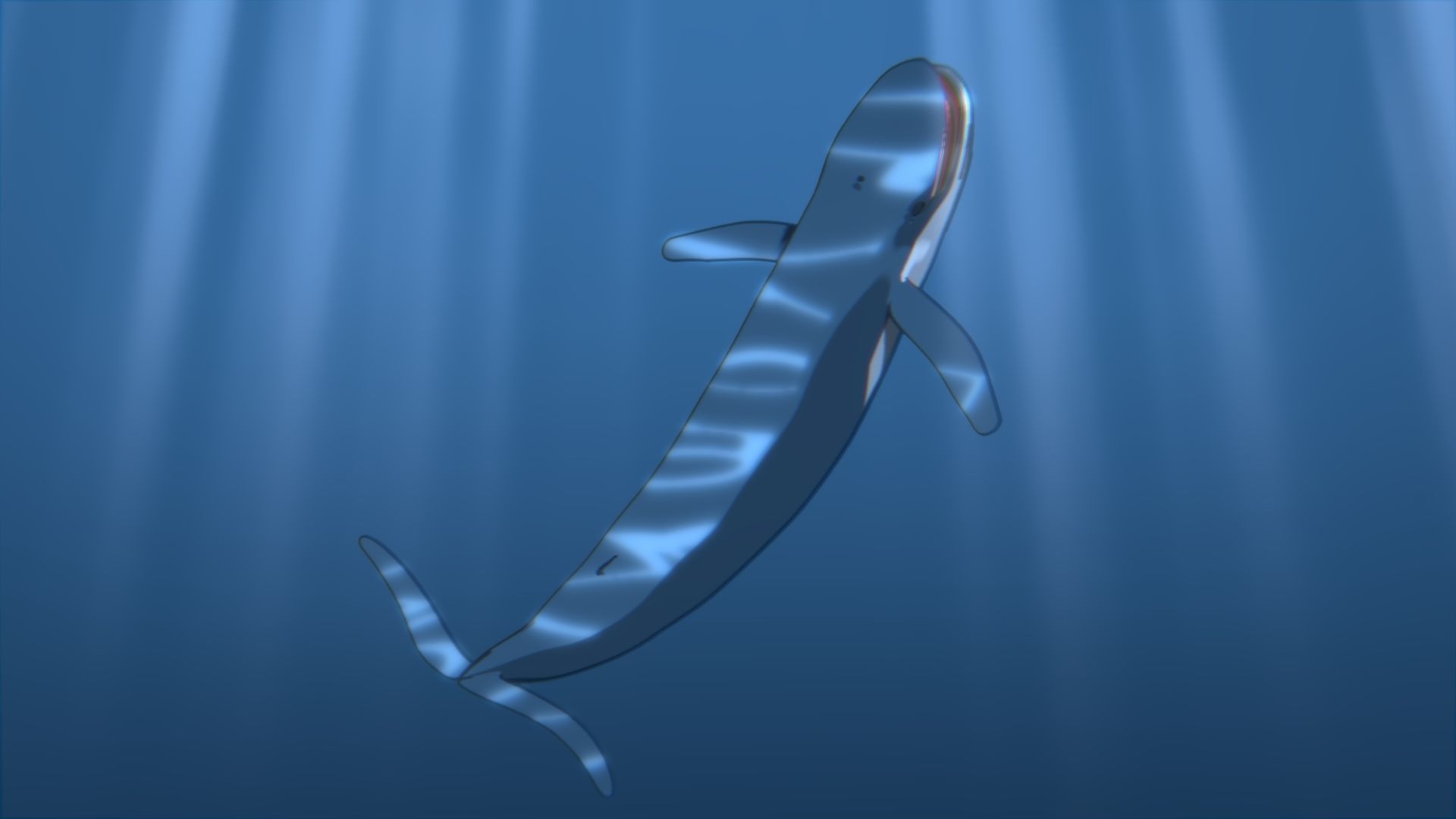 For Anime - Simple Blue Whale 3D model_15