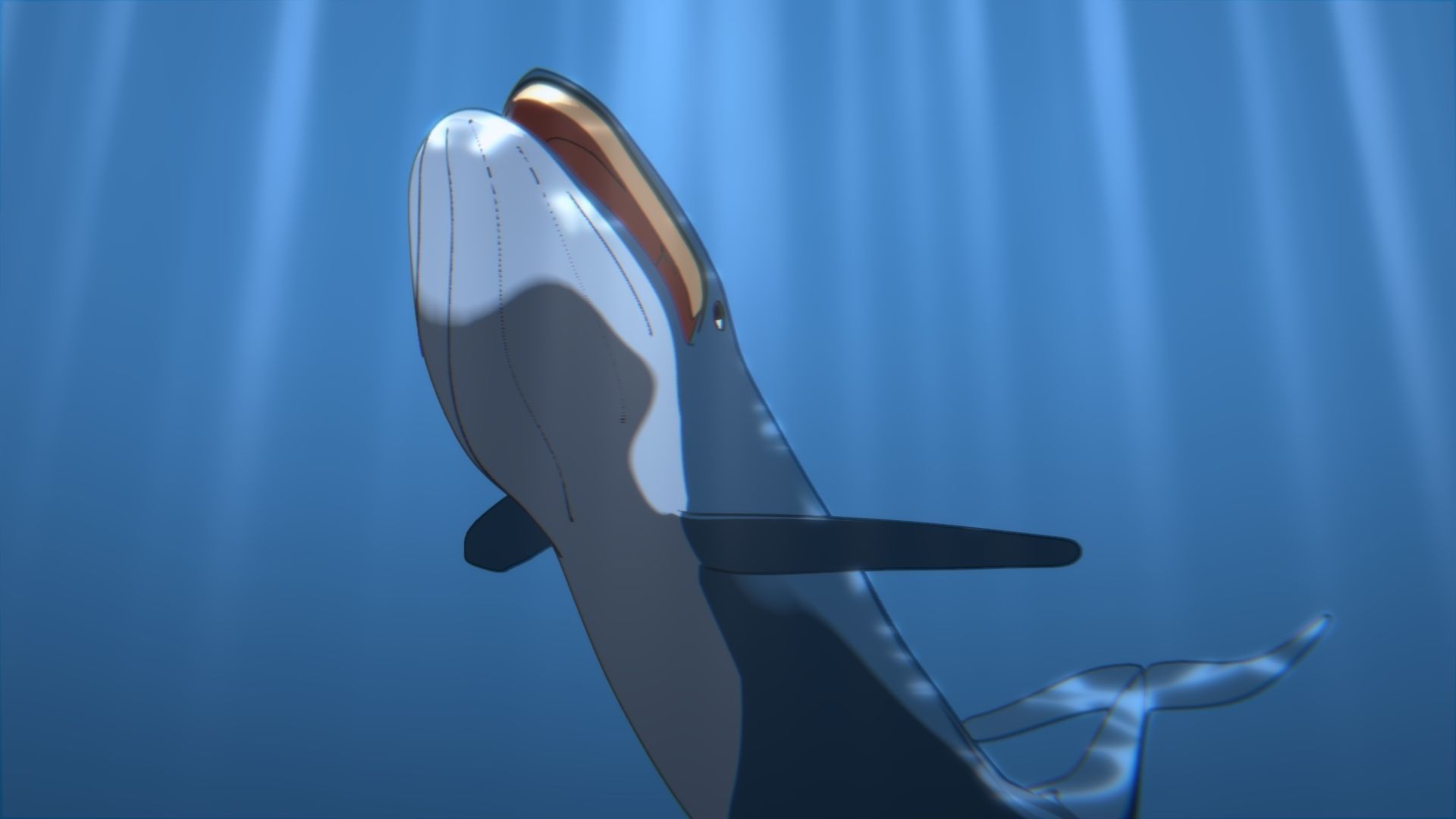 For Anime - Simple Blue Whale 3D model_10