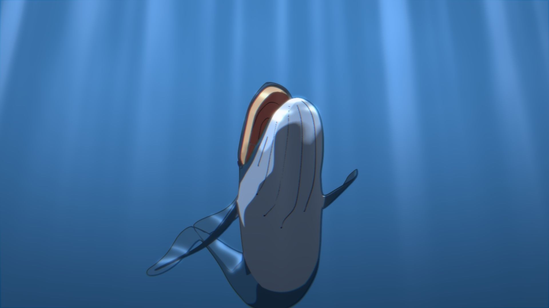 For Anime - Simple Blue Whale 3D model_18