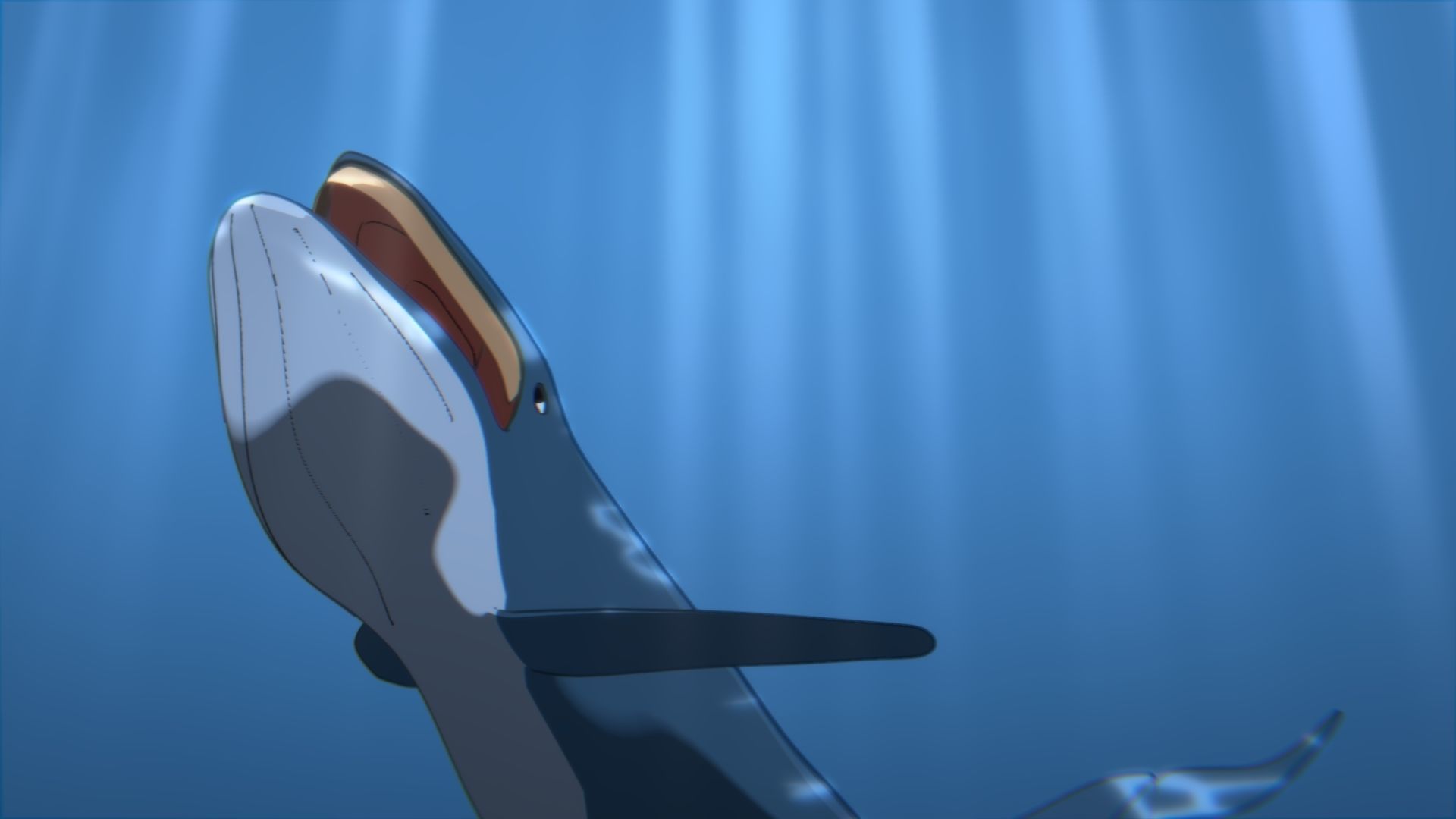 For Anime - Simple Blue Whale 3D model_20