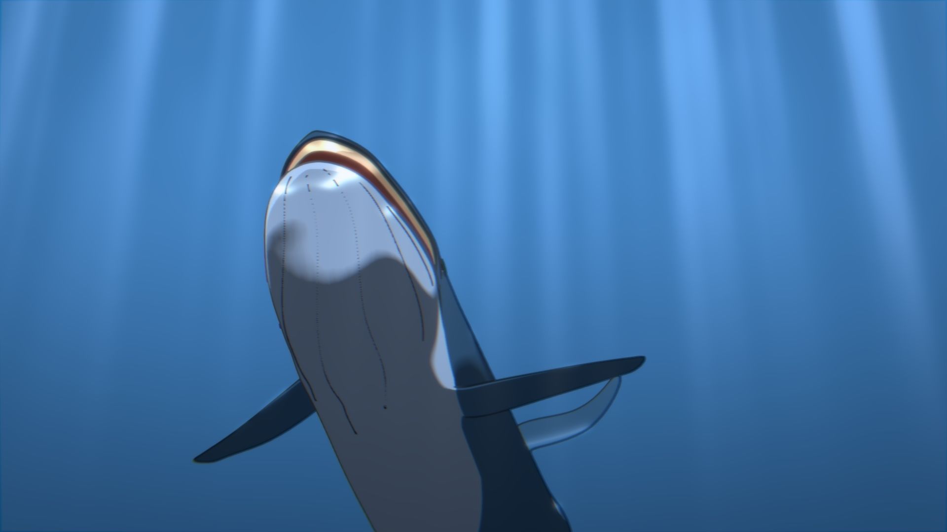 For Anime - Simple Blue Whale 3D model_19