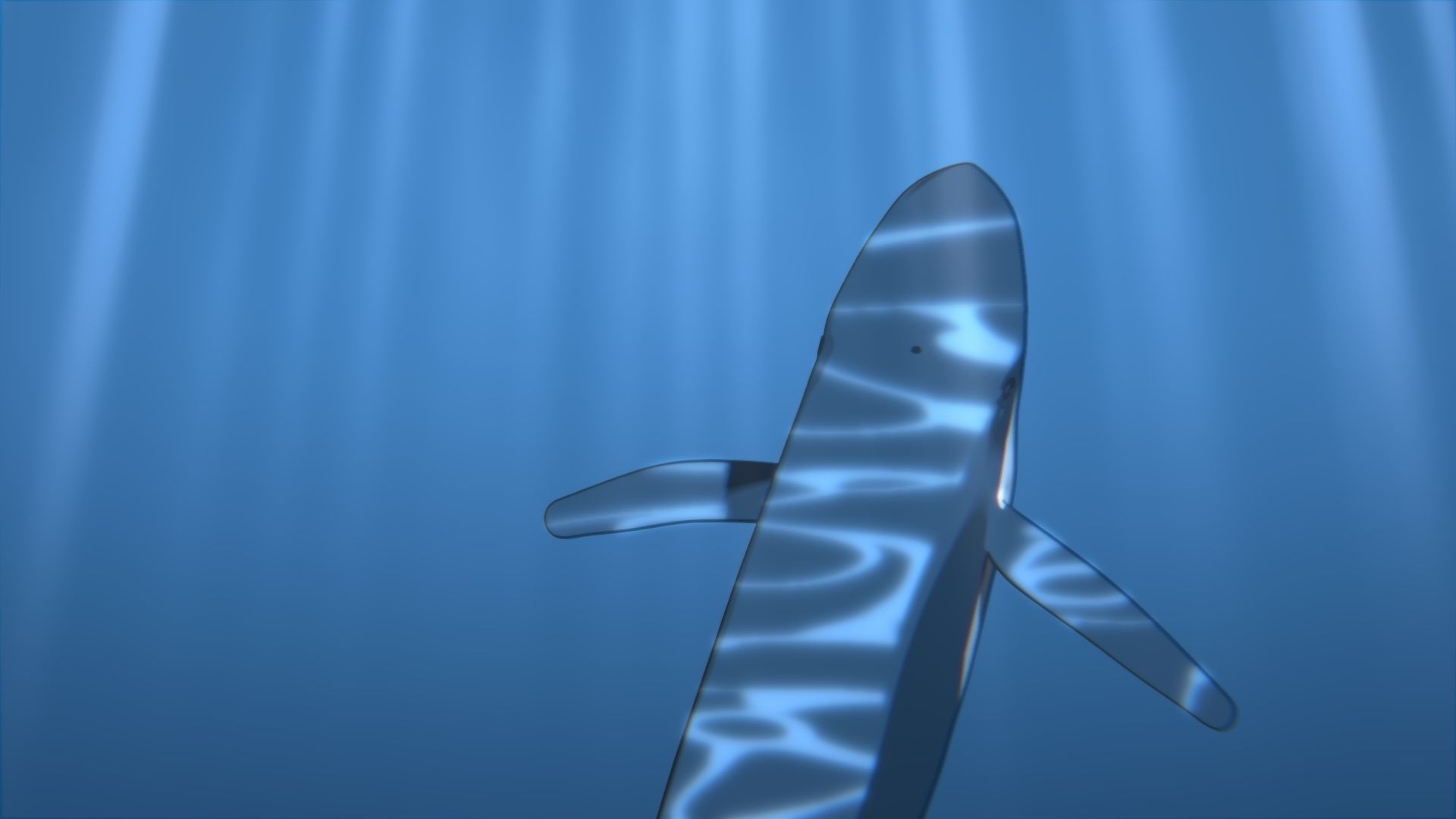 For Anime - Simple Blue Whale 3D model_24