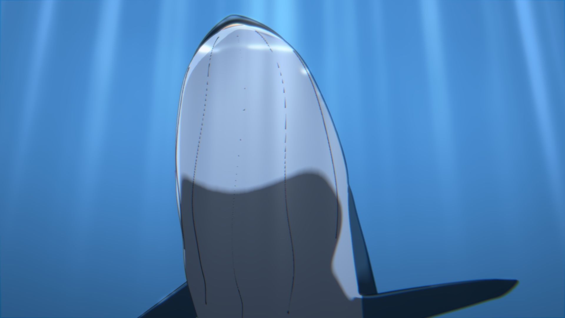 For Anime - Simple Blue Whale 3D model_9