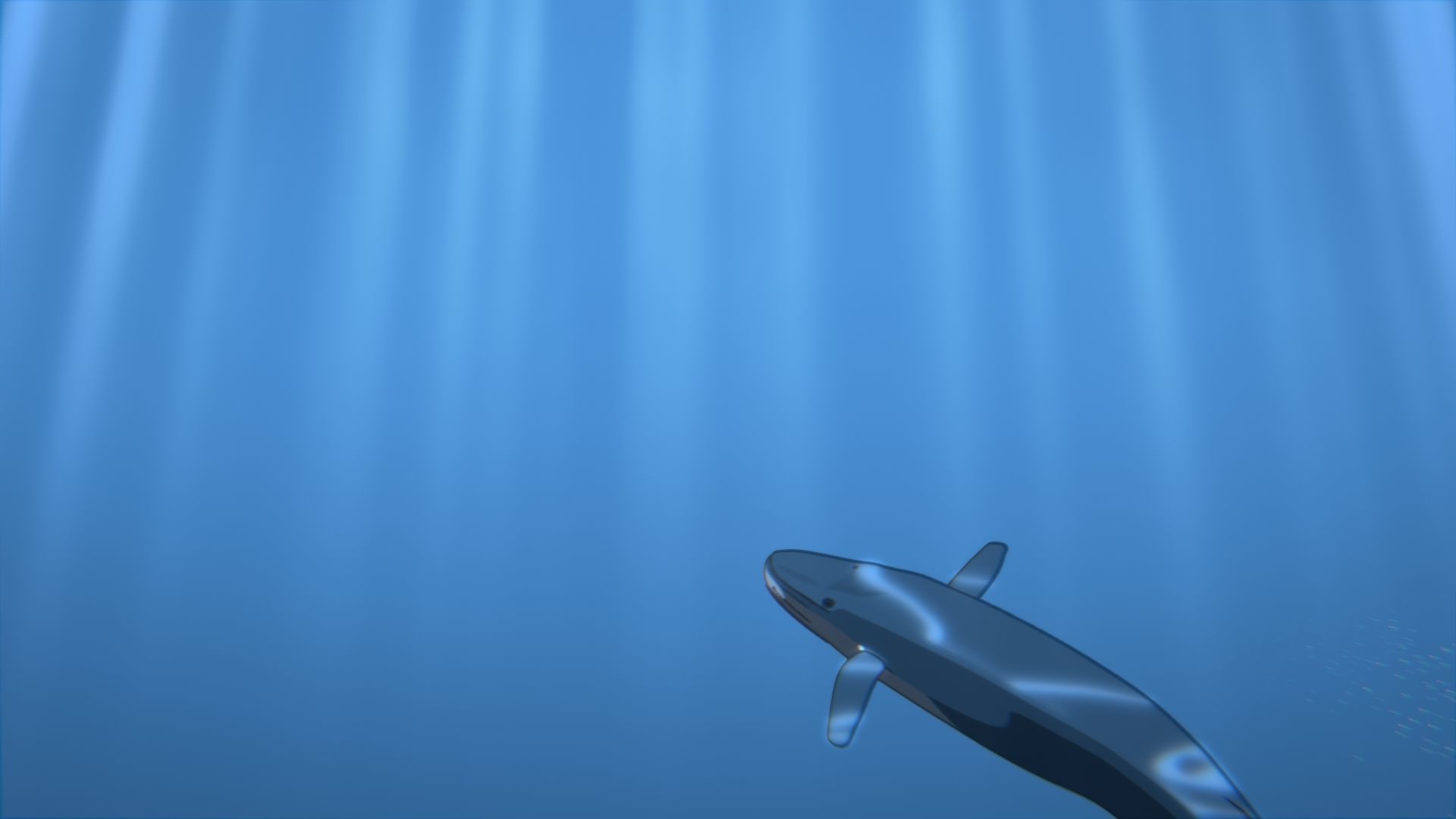 For Anime - Simple Blue Whale 3D model_36