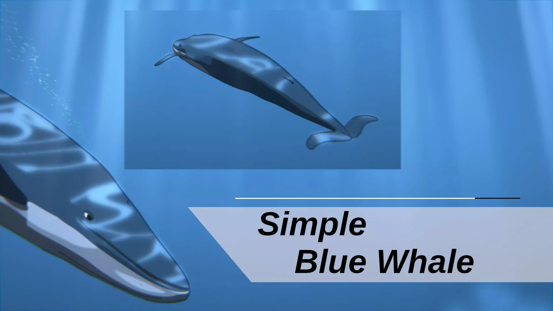 For Anime - Simple Blue Whale 3D model_0