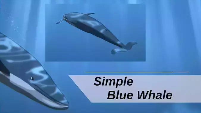 For Anime - Simple Blue Whale 3D model