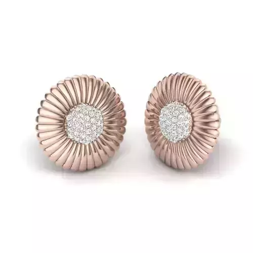 Unique Luxurious  Earrings