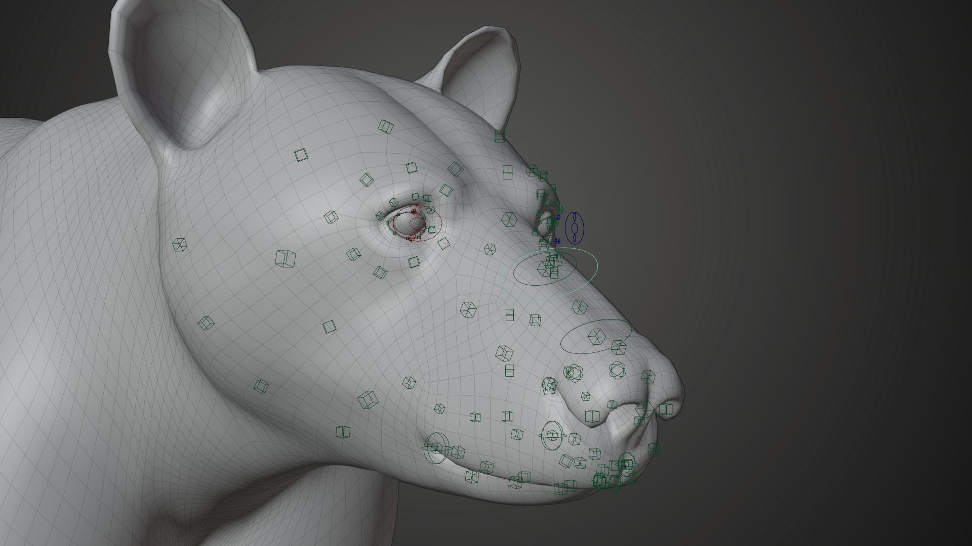 American Black Bear Animated VFX Grace 3D model_20