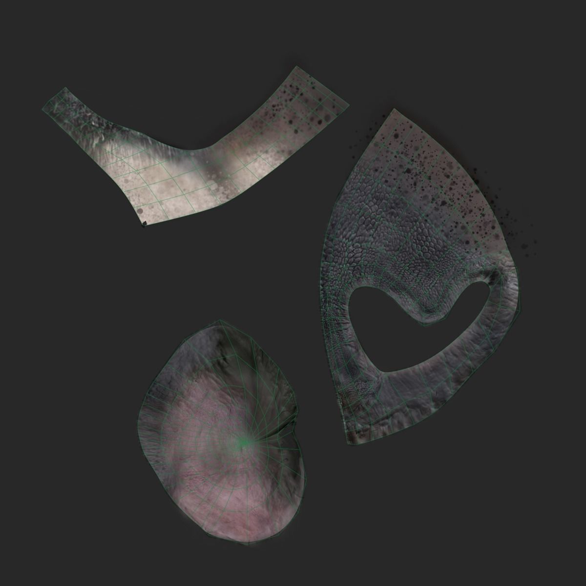 American Black Bear Animated VFX Grace 3D model_26