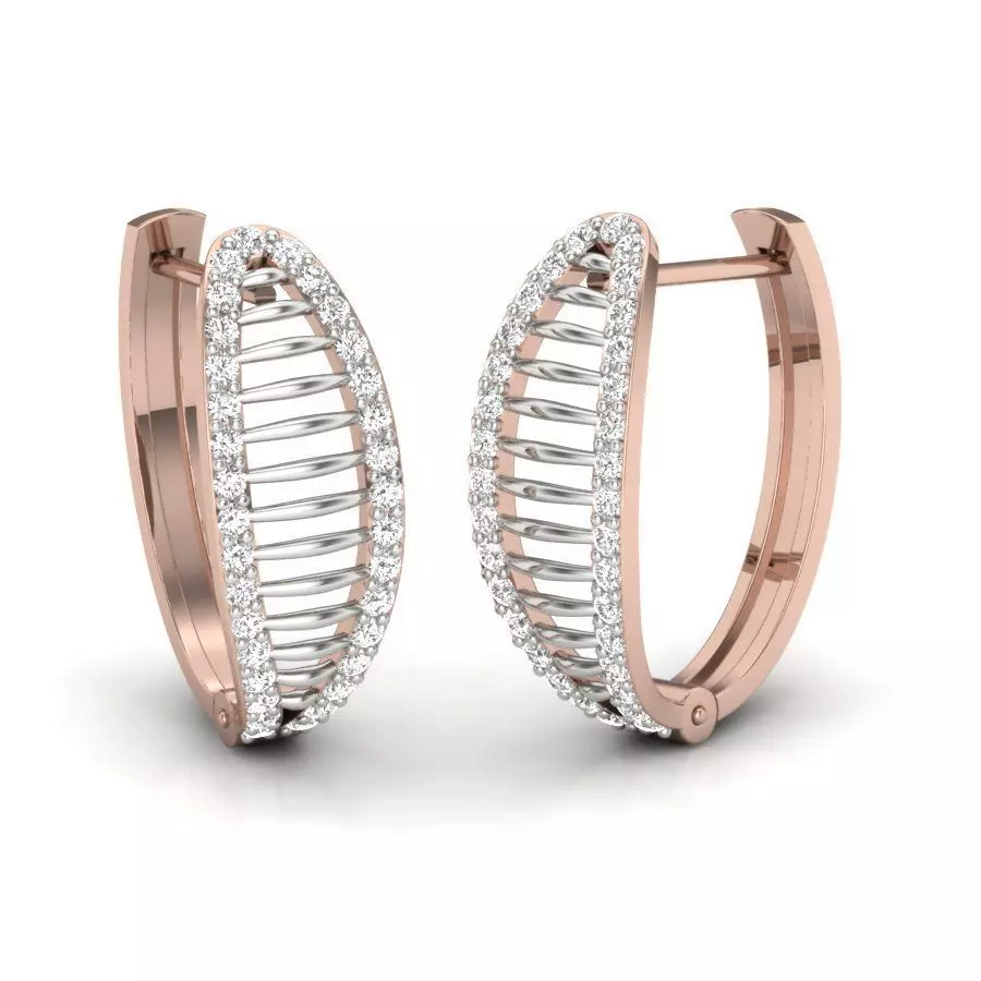 Jewelry Earrings Women 3D print model