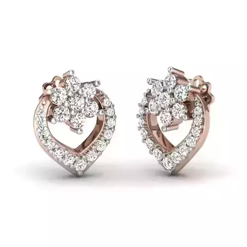 Jewelry Earrings 3D print model