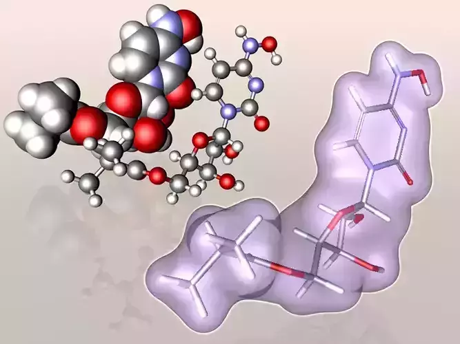 Molnupiravir molecule 3D model