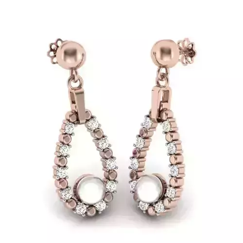 Dangle earrings  3D print model