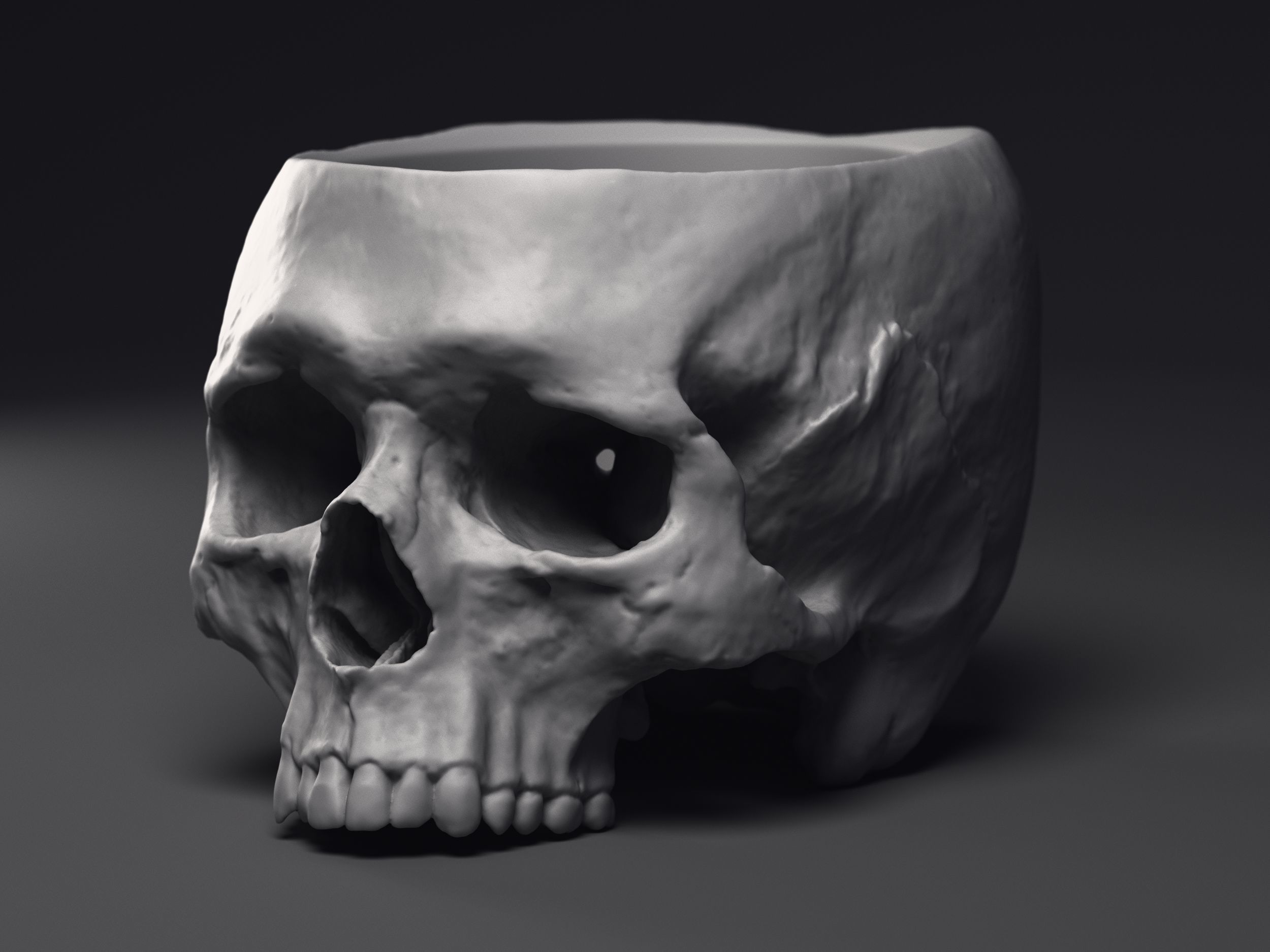 Skull Flower Pot Printable 3D Model 3D print model_3