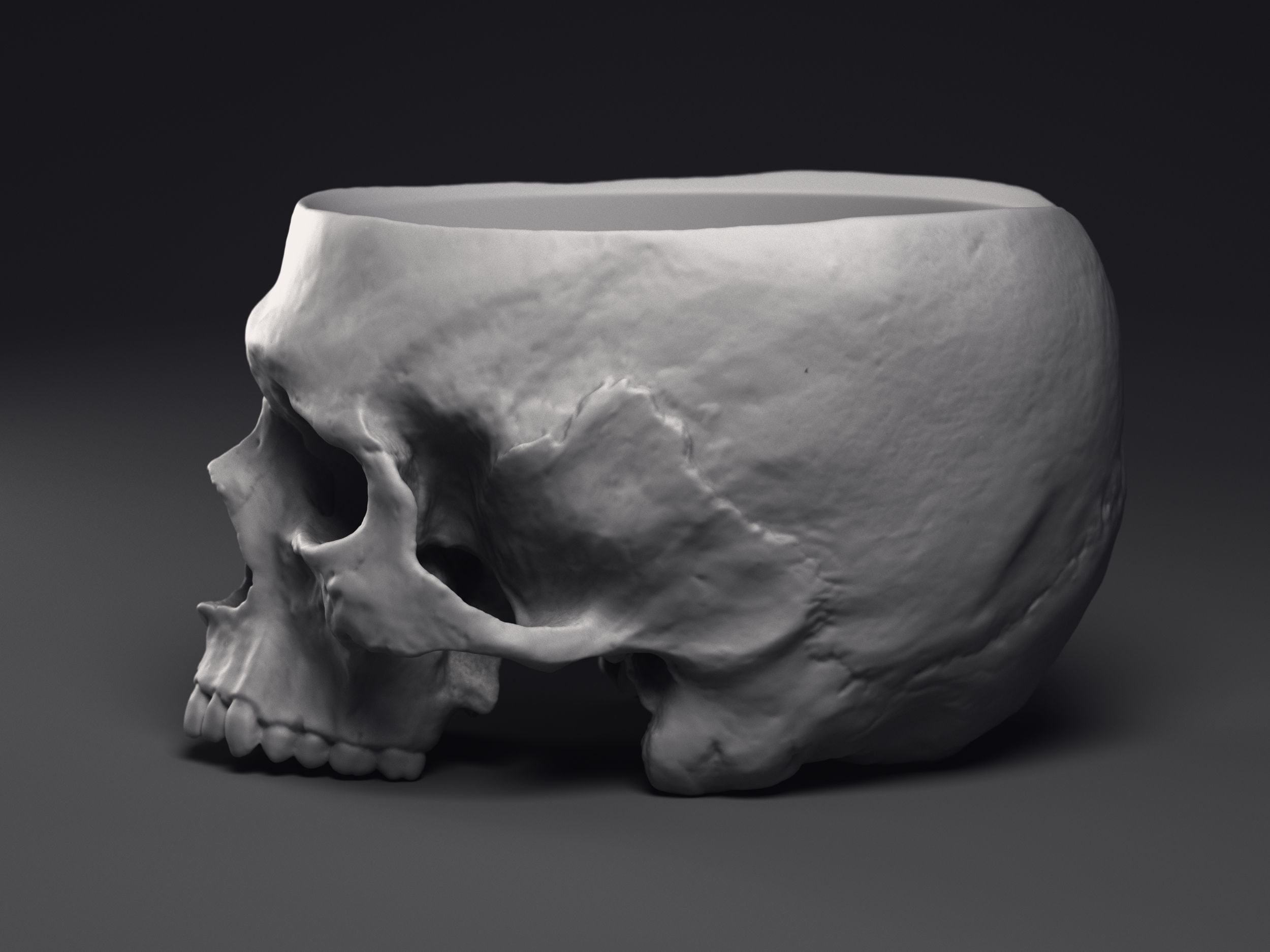 Skull Flower Pot Printable 3D Model 3D print model_4