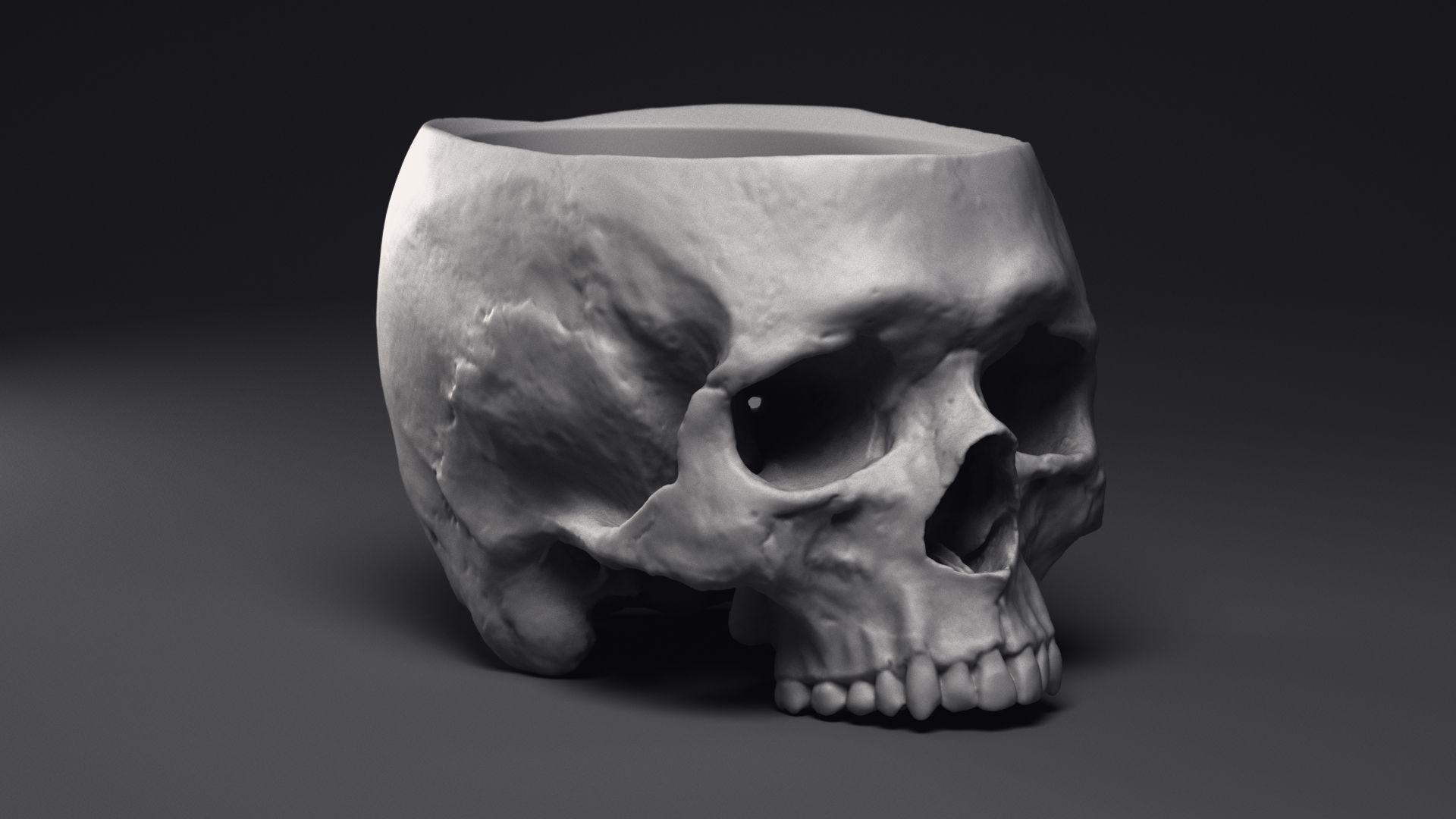 Skull Flower Pot Printable 3D Model 3D print model_25