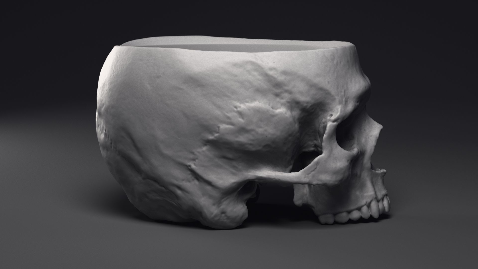 Skull Flower Pot Printable 3D Model 3D print model_23