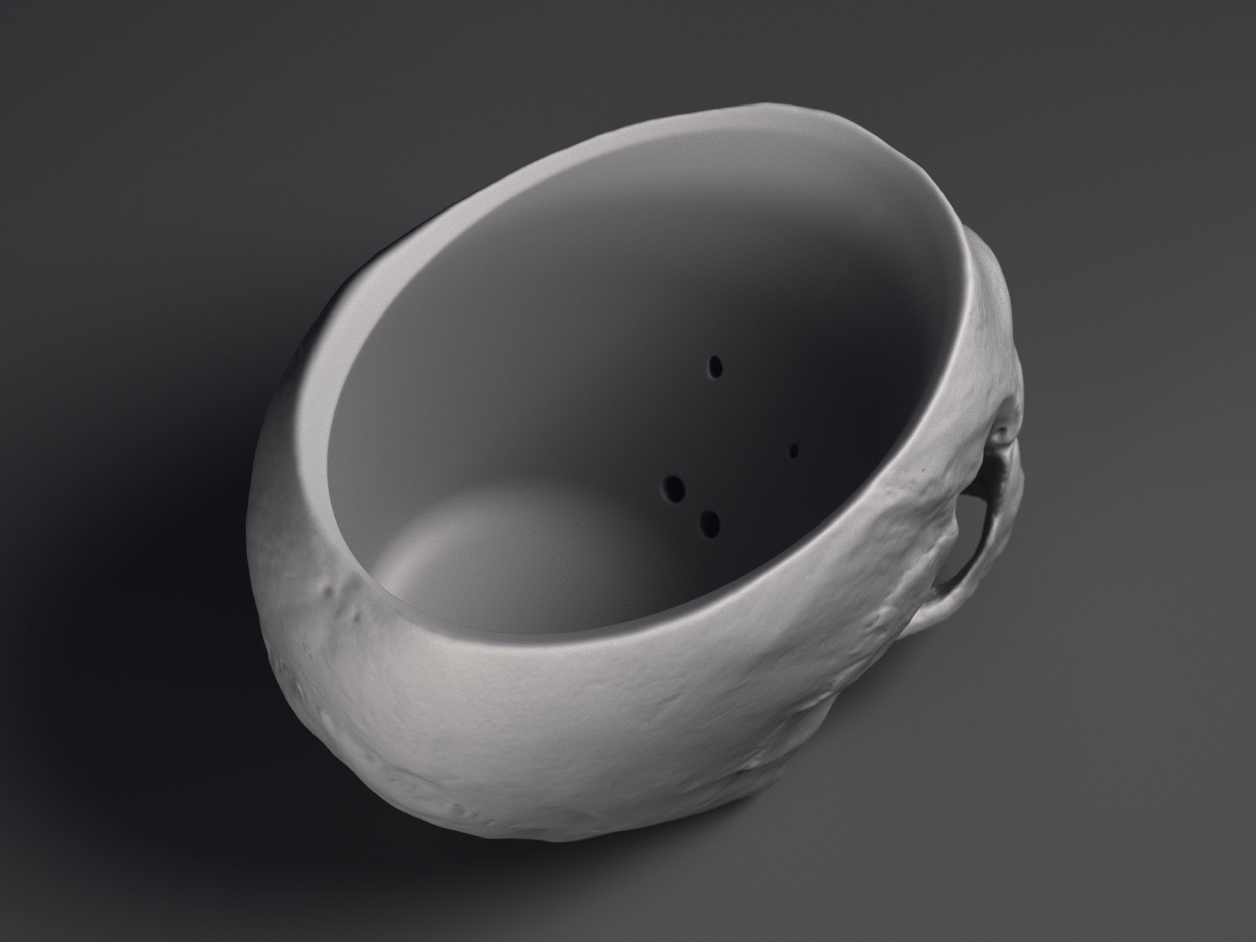 Skull Flower Pot Printable 3D Model 3D print model_7