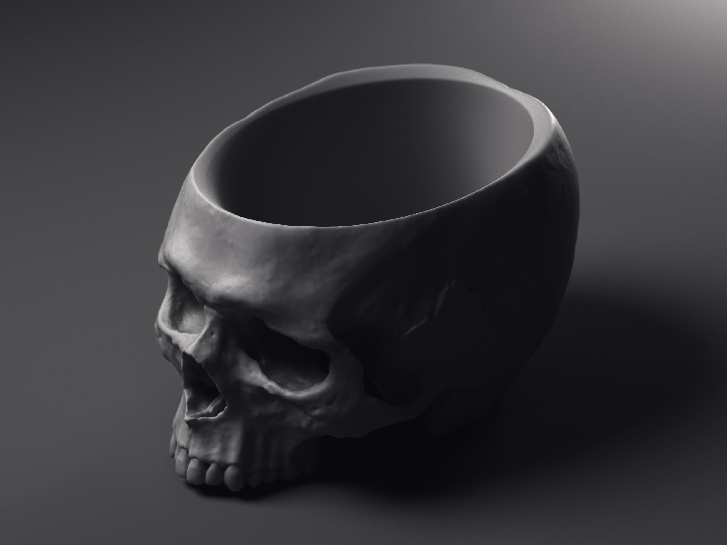 Skull Flower Pot Printable 3D Model 3D print model_6