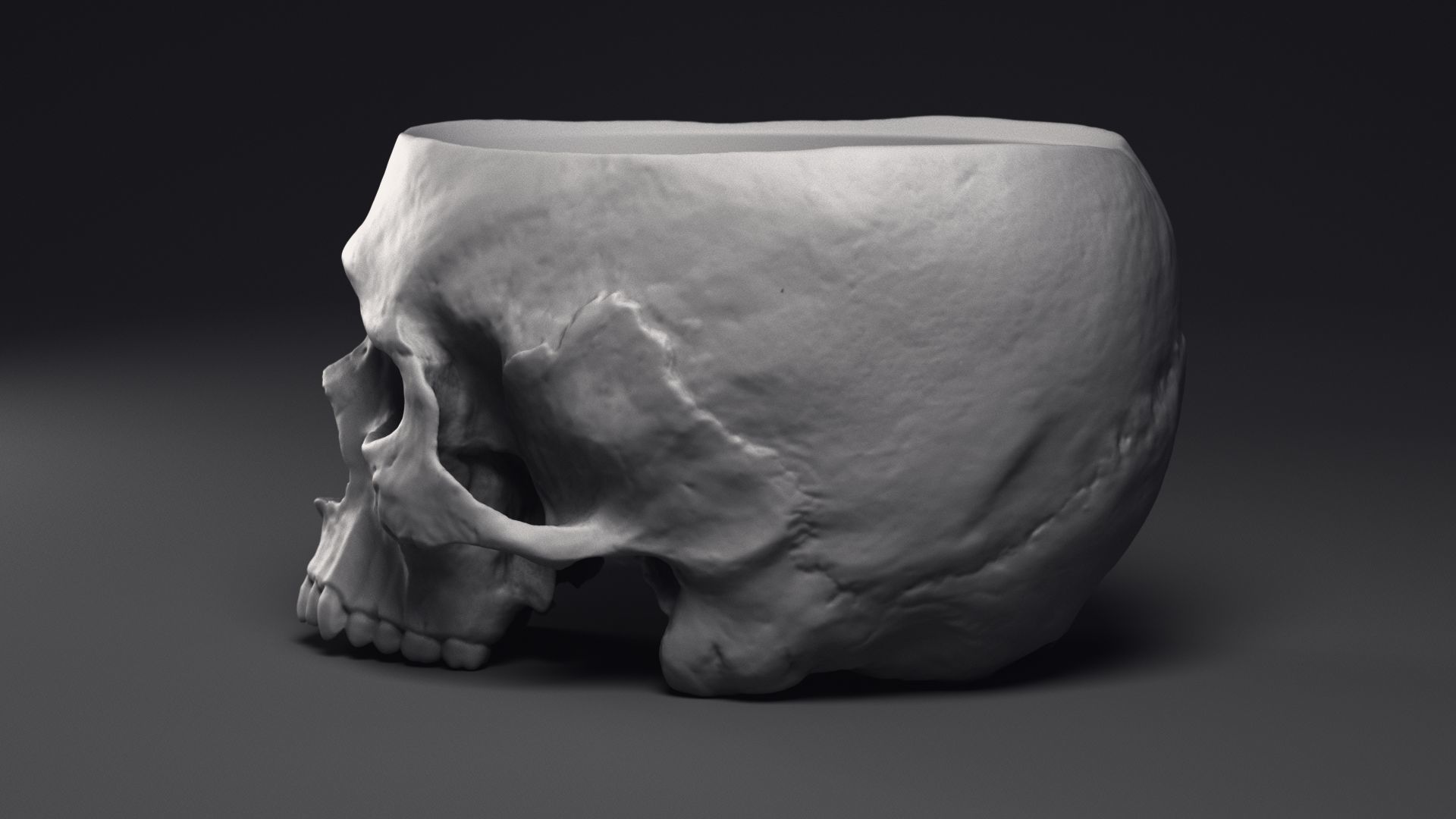 Skull Flower Pot Printable 3D Model 3D print model_16