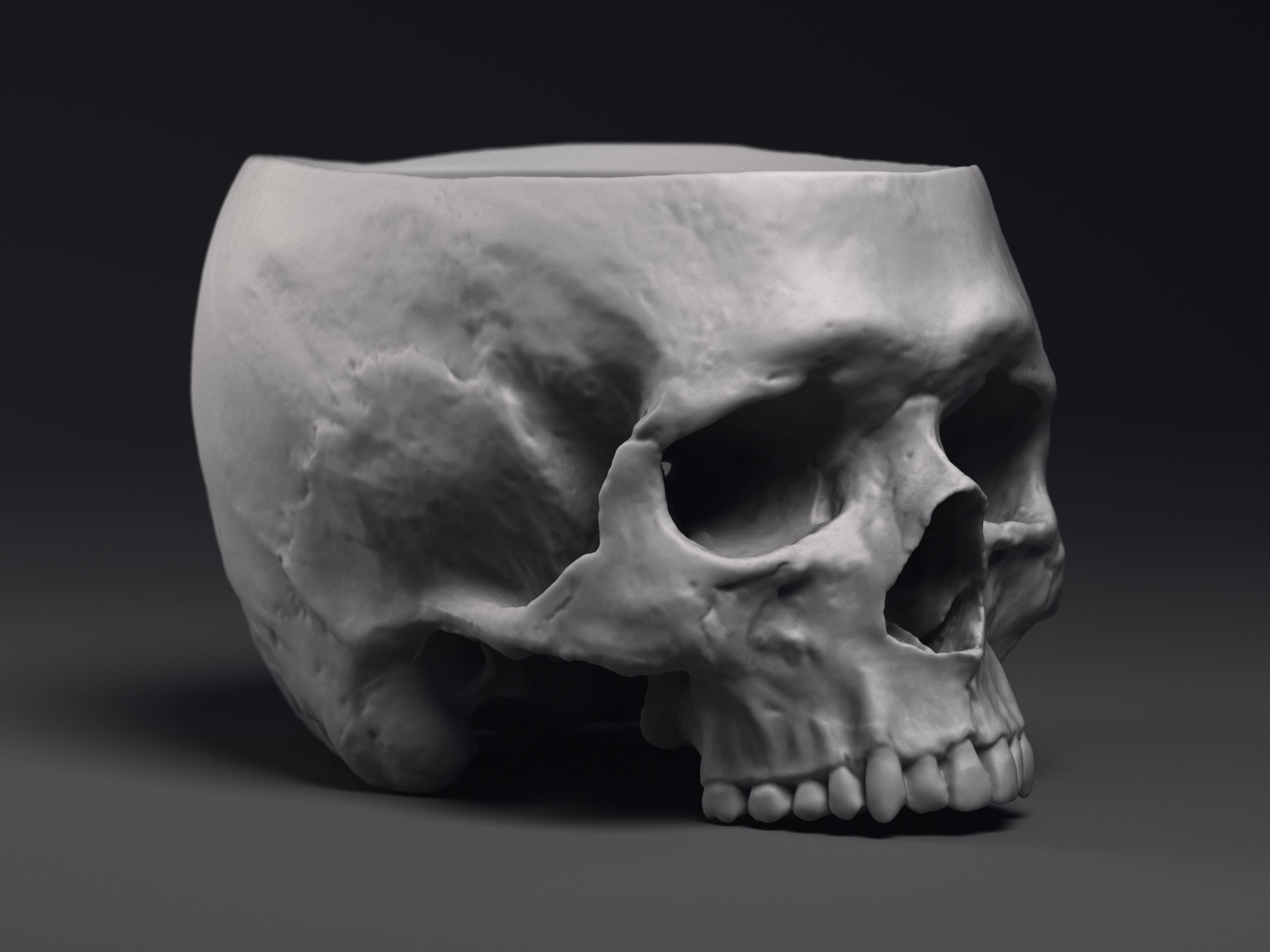 Skull Flower Pot Printable 3D Model 3D print model_2