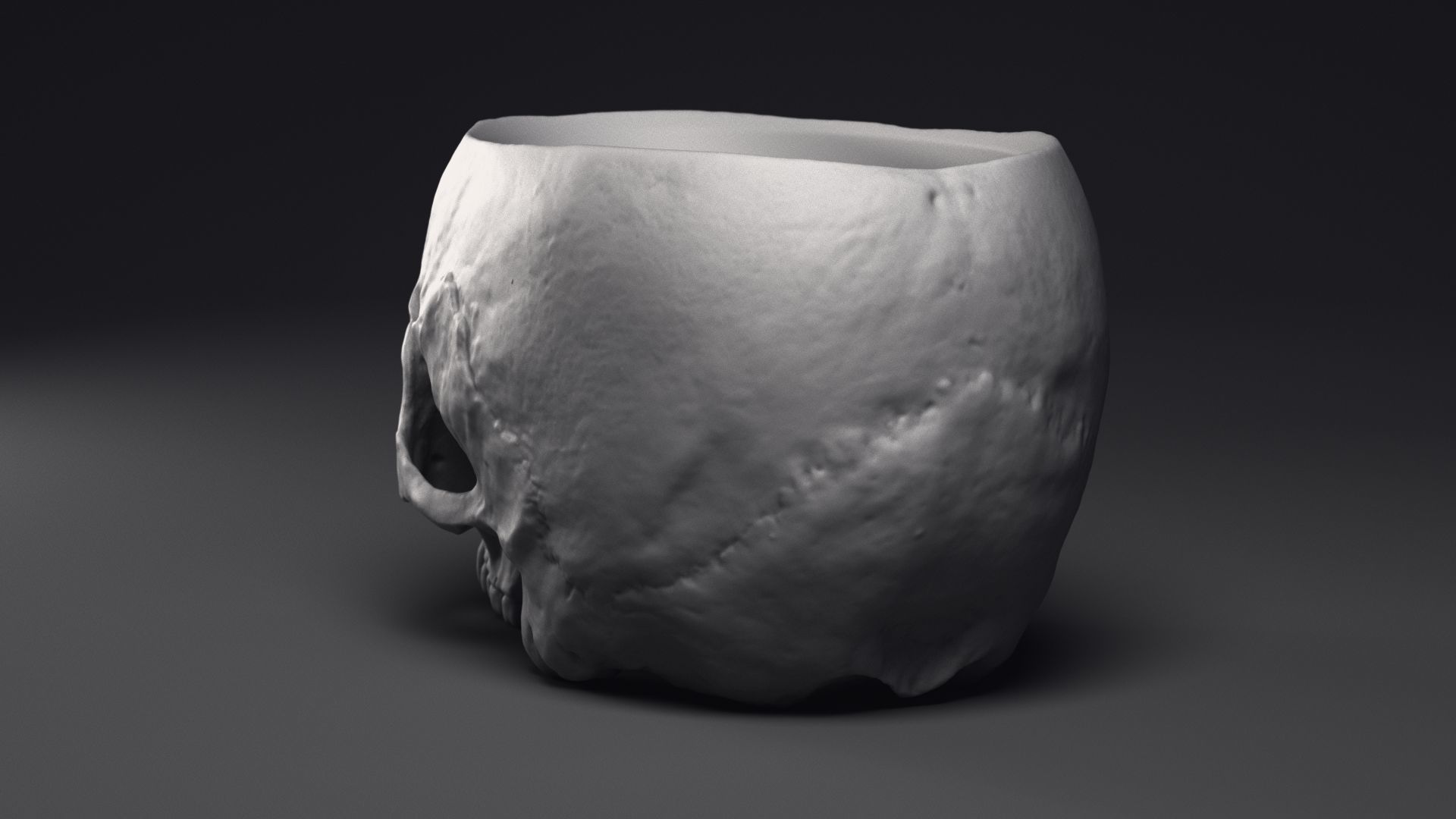 Skull Flower Pot Printable 3D Model 3D print model_18