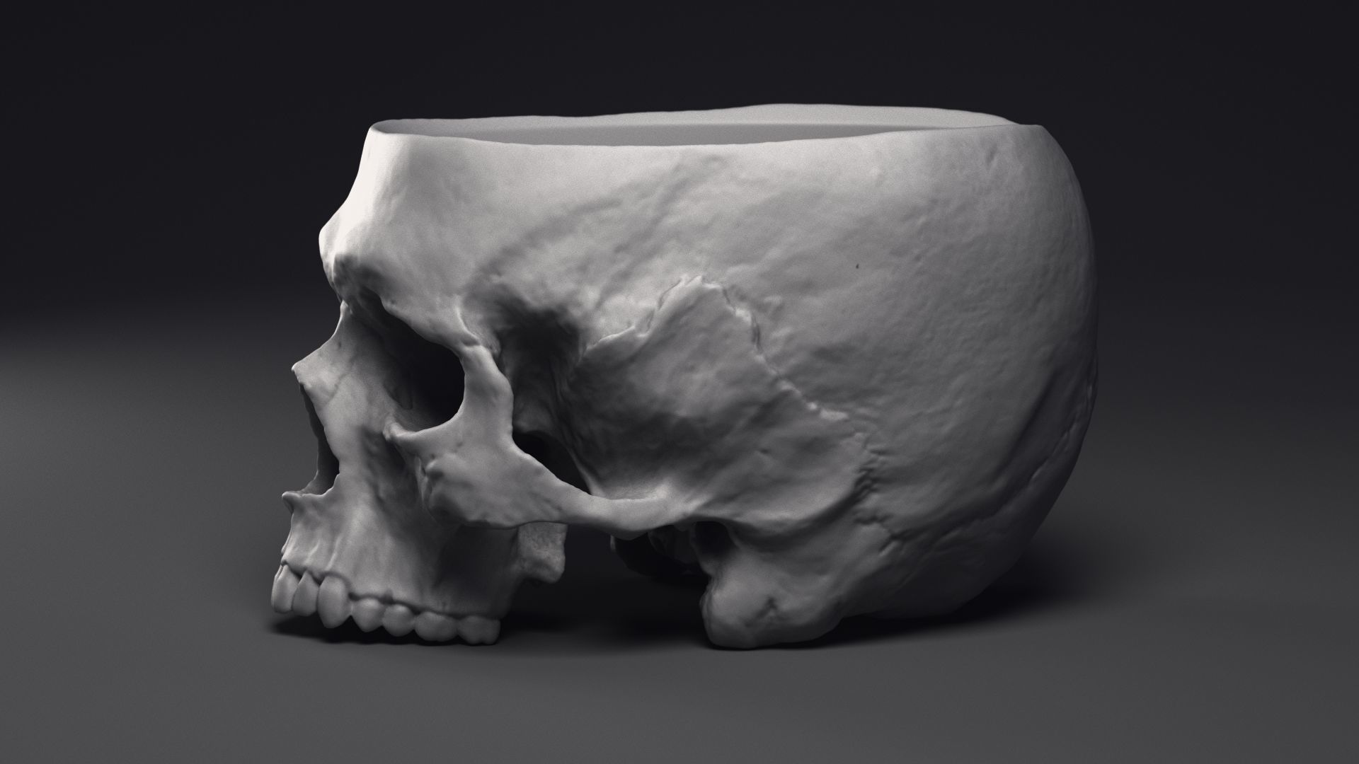 Skull Flower Pot Printable 3D Model 3D print model_15