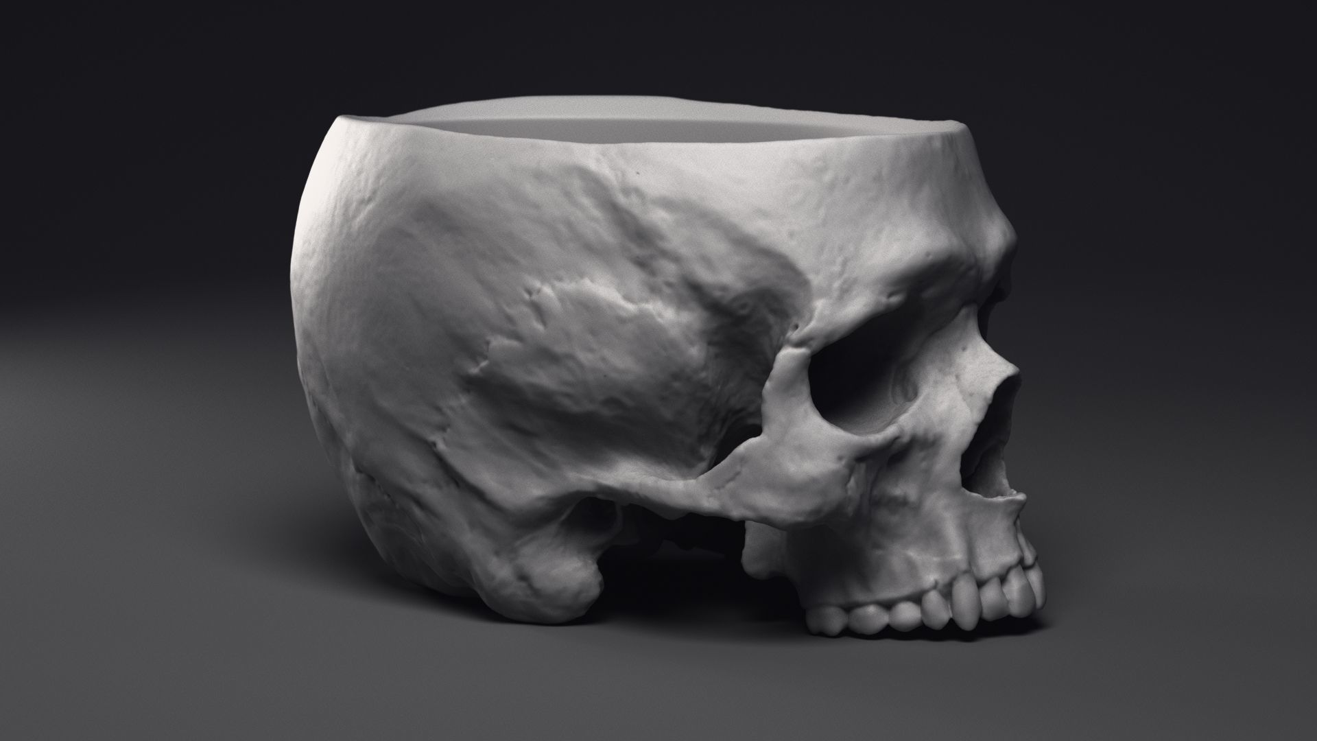 Skull Flower Pot Printable 3D Model 3D print model_24