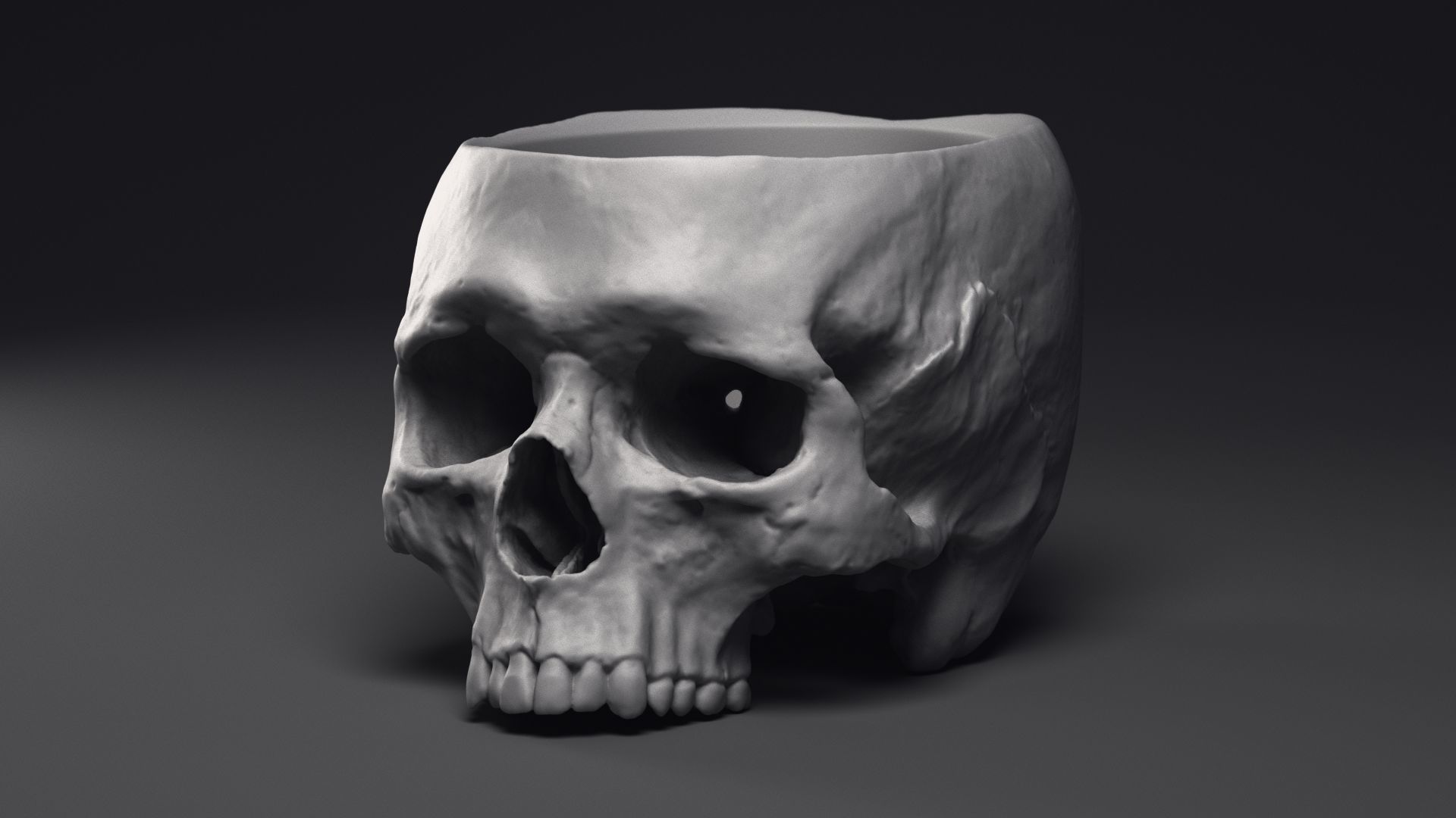 Skull Flower Pot Printable 3D Model 3D print model_13