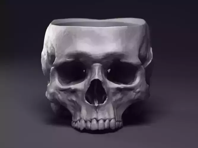 Skull Flower Pot Printable 3D Model 3D print model