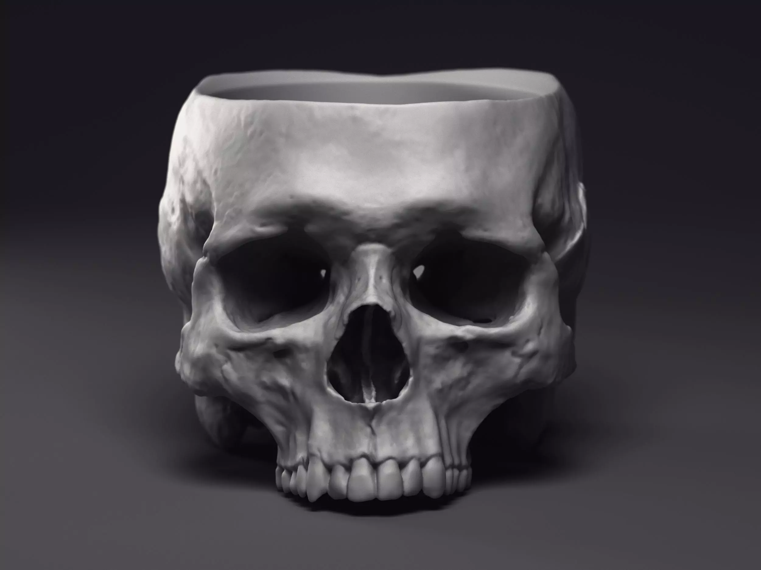 Skull Flower Pot Printable 3D Model 3D print model_0