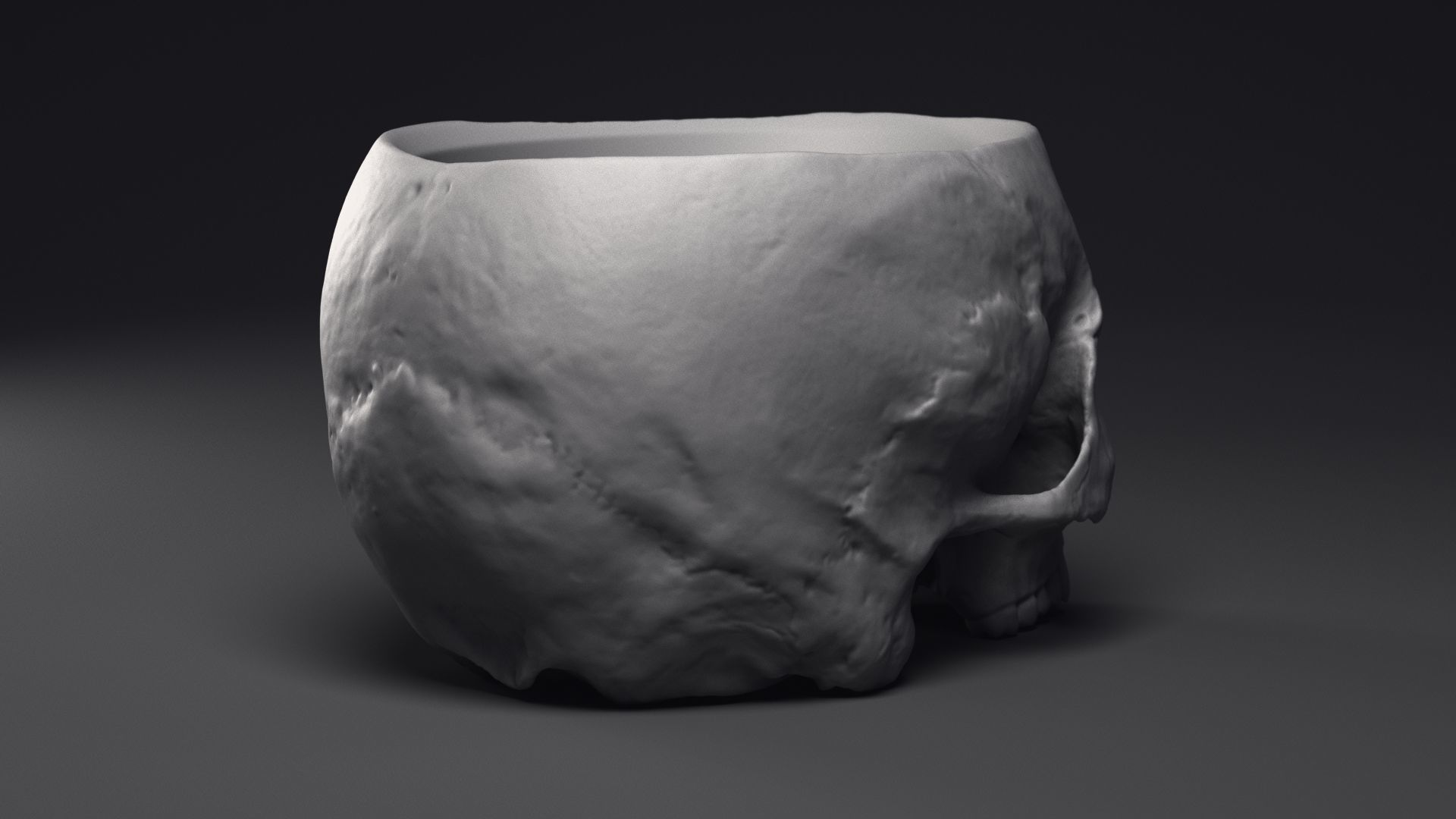 Skull Flower Pot Printable 3D Model 3D print model_21
