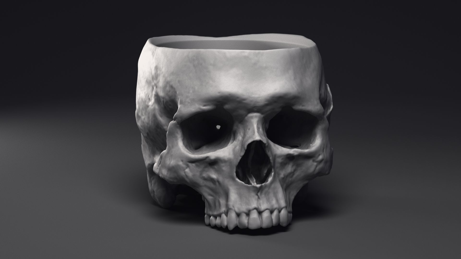 Skull Flower Pot Printable 3D Model 3D print model_26