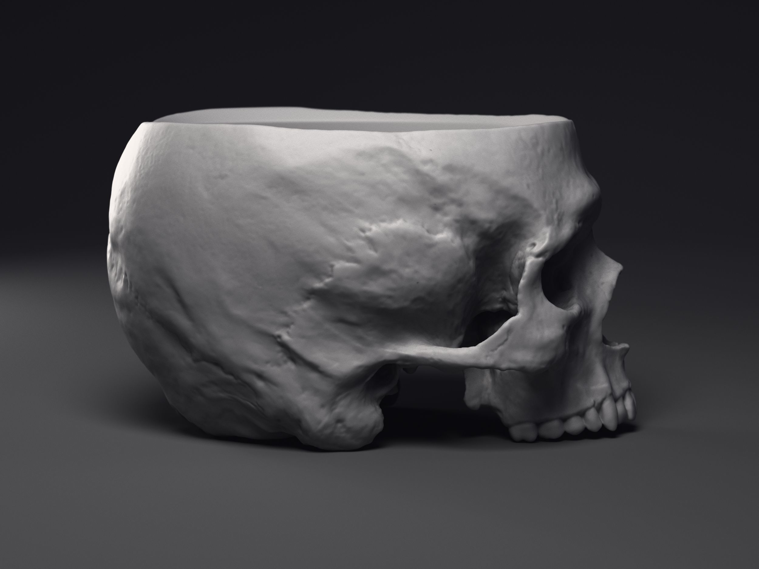 Skull Flower Pot Printable 3D Model 3D print model_5