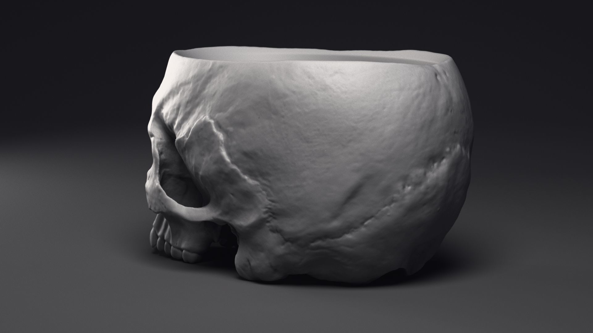 Skull Flower Pot Printable 3D Model 3D print model_17