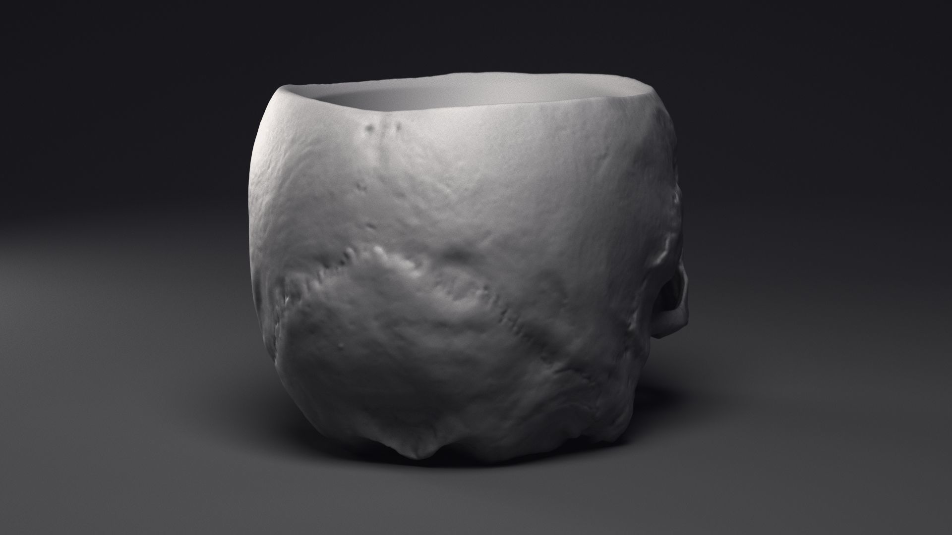 Skull Flower Pot Printable 3D Model 3D print model_20