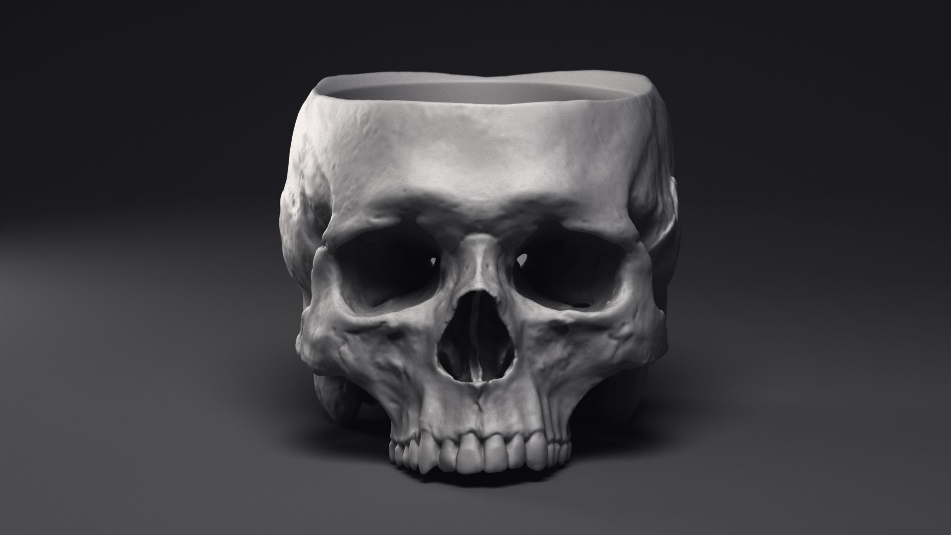 Skull Flower Pot Printable 3D Model 3D print model_12