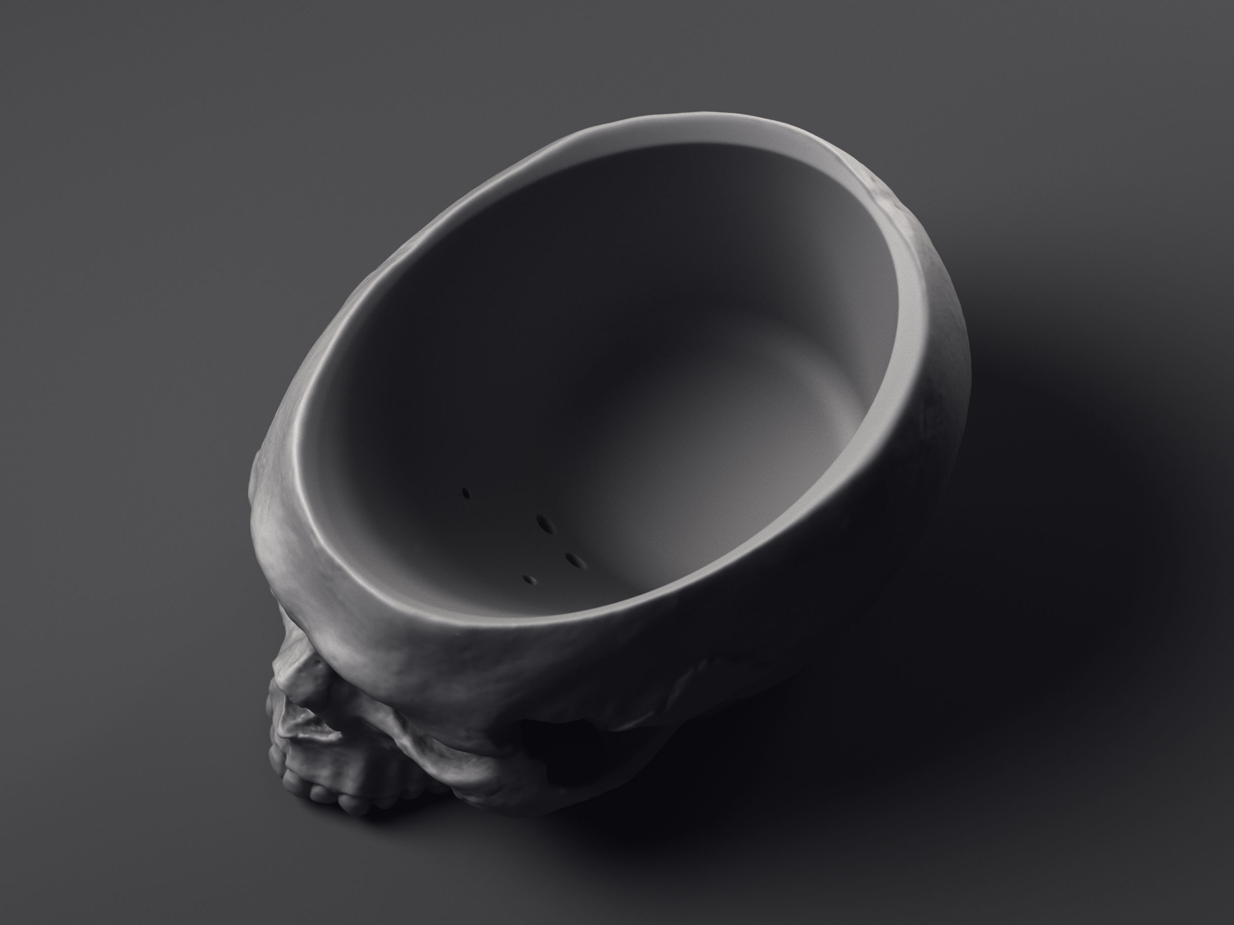 Skull Flower Pot Printable 3D Model 3D print model_8