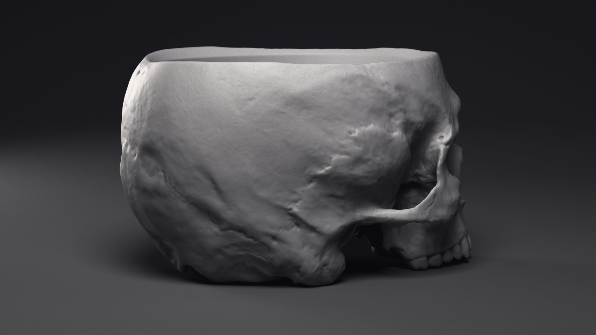 Skull Flower Pot Printable 3D Model 3D print model_22