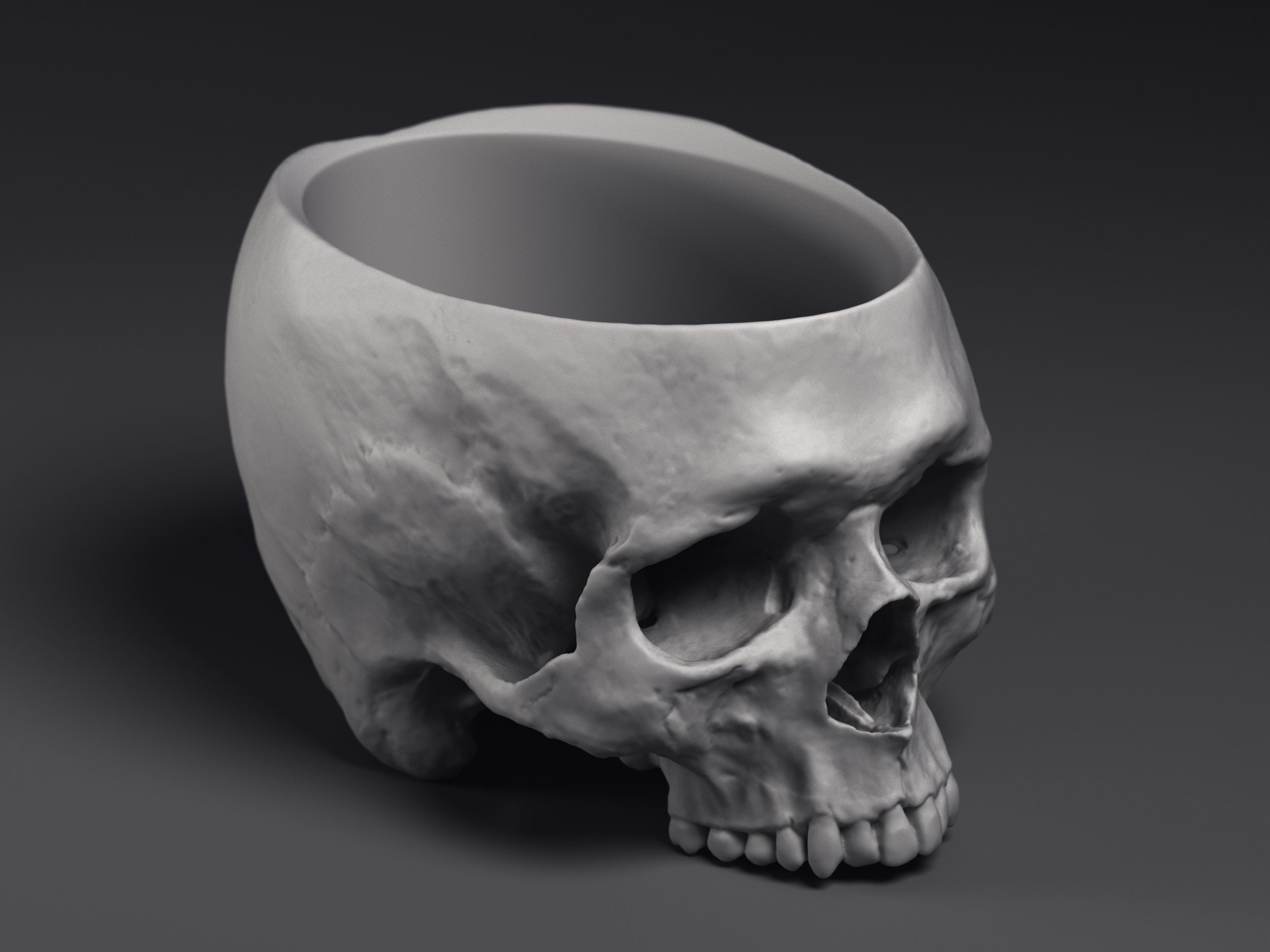 Skull Flower Pot Printable 3D Model 3D print model_1