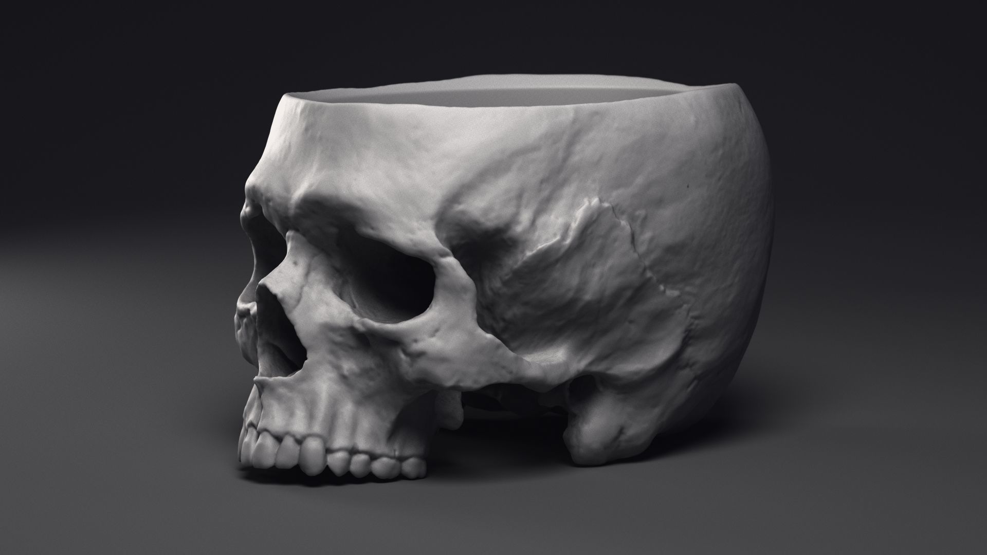 Skull Flower Pot Printable 3D Model 3D print model_14