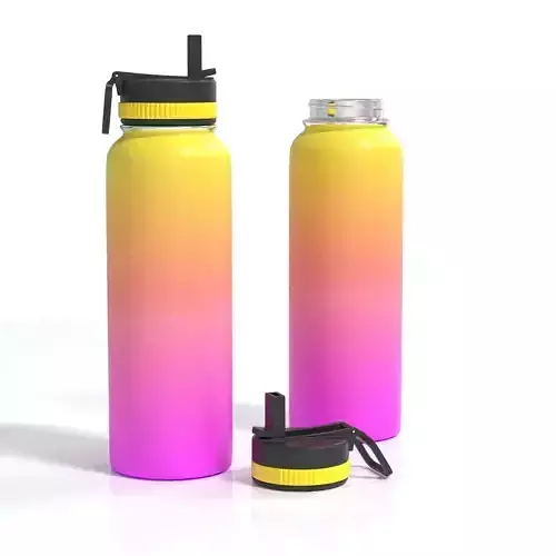 Sports water bottle